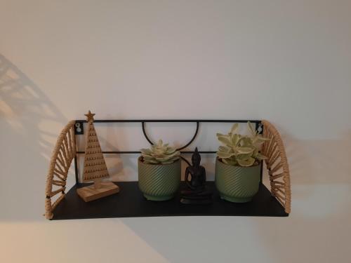 een plank met twee planten en een bord erop bij Chambre Cosy indépendante sans cuisine in Mont-Louis