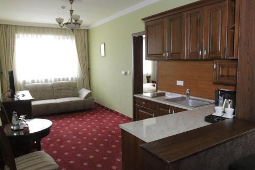 Kuchyň nebo kuchyňský kout v ubytování Hotel Slavia