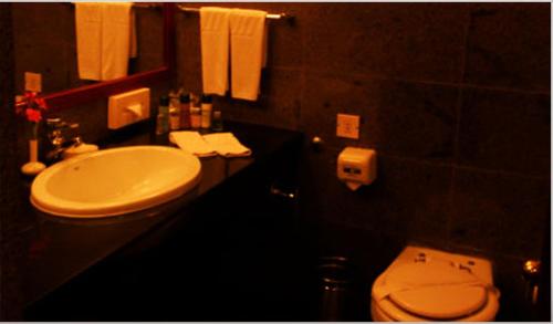 a bathroom with a white sink and a toilet at Ashok Country Resort in New Delhi