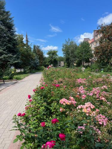 Zahrada ubytování Giermkovnia apartament Elbląg