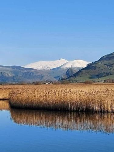 a field of grass with snow capped mountains in the background at Jack's House in Tywyn