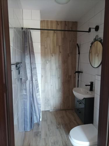 a bathroom with a shower and a toilet and a sink at Sosnówka in Krutyń