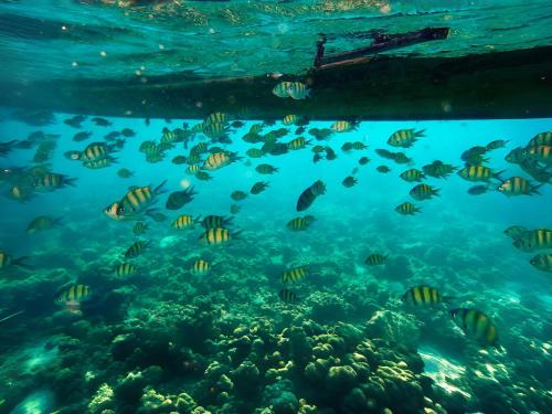 Landskap semula jadi dekat dengan hotel