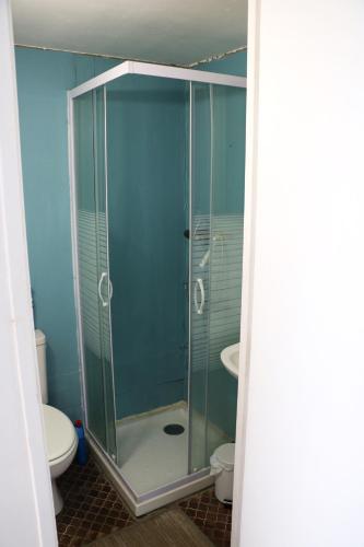 La salle de bains est pourvue d'une douche en verre et de toilettes. dans l'établissement studio très près d'Arles et au calme, à Arles