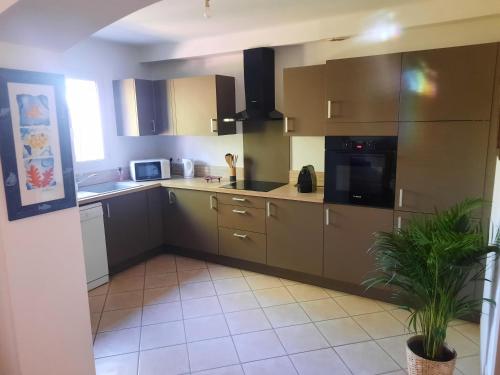 une cuisine avec des armoires brunes et une plante en pot dans l'établissement Maison l isle sur la sorgue, à LʼIsle-sur-la-Sorgue