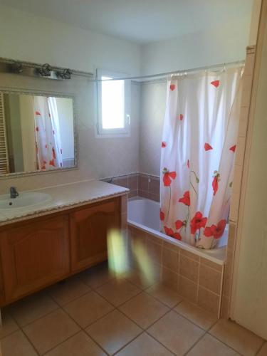une salle de bain avec une baignoire, un lavabo et un rideau de douche dans l'établissement Maison l isle sur la sorgue, à LʼIsle-sur-la-Sorgue