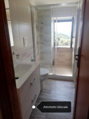 a bathroom with a shower and a sink and a toilet at Fascino del Cilento - Appartamenti in Caprioli