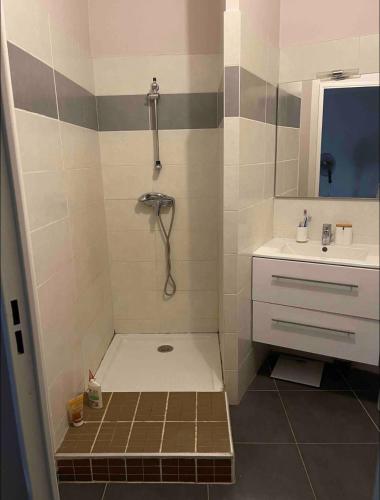 La petite salle de bains est pourvue d'une douche et d'un lavabo. dans l'établissement T2 moderne sud Aix en Provence, à Aix-en-Provence