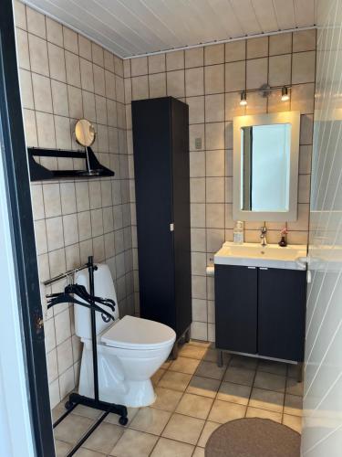 a bathroom with a toilet and a sink and a mirror at Kalundborg centrum in Kalundborg