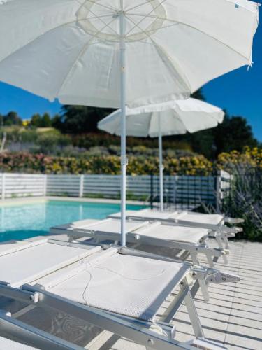 Piscina di B&B Il Gelso Country House o nelle vicinanze