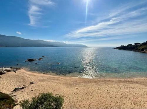 Pieds dans l'eau, sur une plage