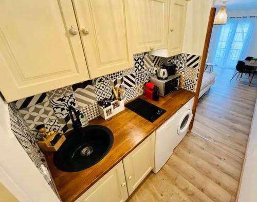 un comptoir de cuisine avec un évier et un micro-ondes dans l'établissement Pieds dans l'eau, sur une plage, à Casaglione