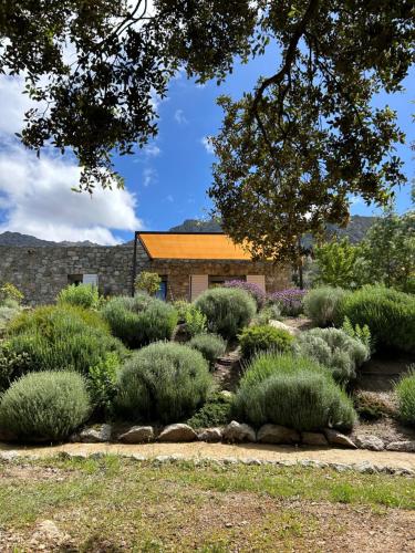 a garden with bushes and a building in the background at Résidence Casarella Lama in Lama