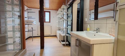 een badkamer met een wastafel en een spiegel bij La Grenouille - Centre Ville - Proche Parking Gratuit - Commerces à Proximité in Sélestat