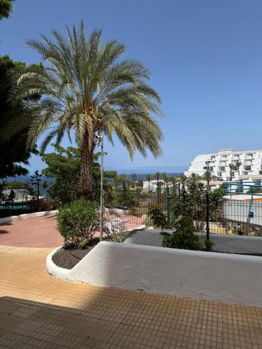 Paraiso Del Sur Tenerife with renovated swimming pool
