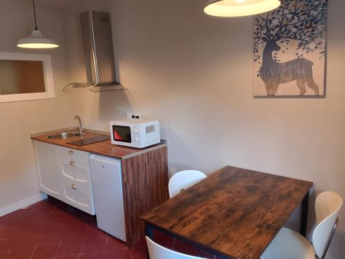 a kitchen with a sink and a counter with a microwave at El Palacito de Arnedillo in Arnedillo