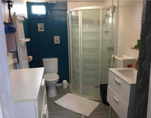 a bathroom with a glass shower and a toilet at Studio indépendant proche Aix en Provence avec jacuzzi in La Barben