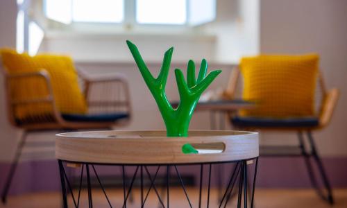 a green plant sitting on a table with chairs at Faro Capel Rosso in Isola del Giglio