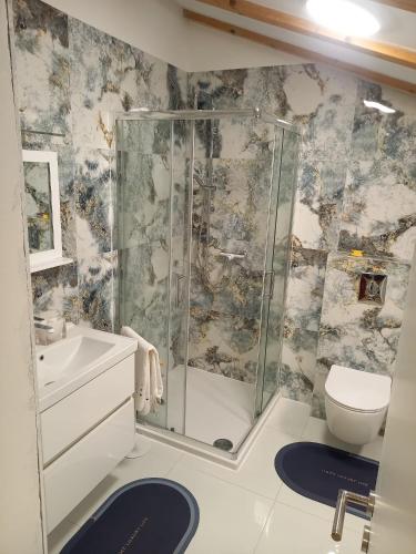 a bathroom with a shower and a toilet at Casa Benessere Istria in Vodnjan