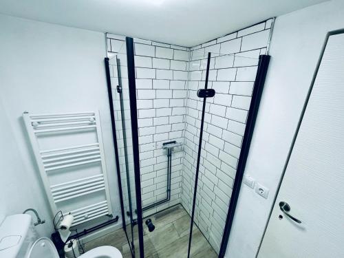 a bathroom with a glass shower and a toilet at LaOgrada in Avrig
