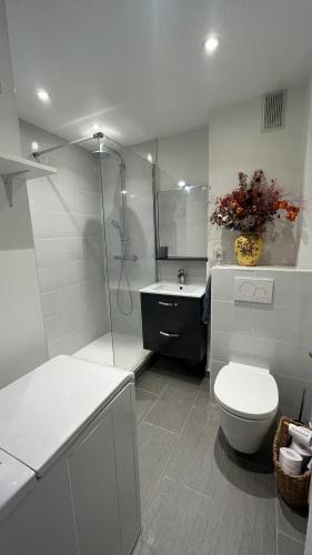 une salle de bain avec une douche, des toilettes et un lavabo dans l'établissement Charmant studio à Montmartre Sacré Cœur, à Paris
