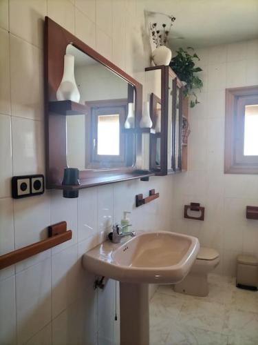 a bathroom with a sink and a mirror and a toilet at Cortijo El Ventorrillo de Agua Amarga in Almería