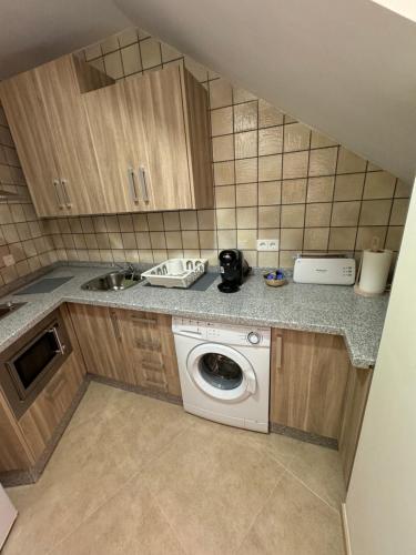 a kitchen with a washing machine and a sink at Apartamentos Peñaflor in Guadix