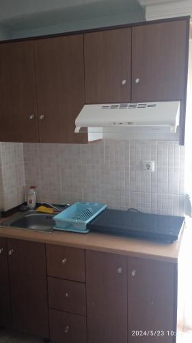a kitchen with a sink and a white hood at Roses Apartments in Néa Michanióna
