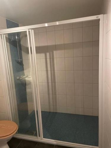 a shower with a glass door in a bathroom at Fjellparken 351 in Beitostøl