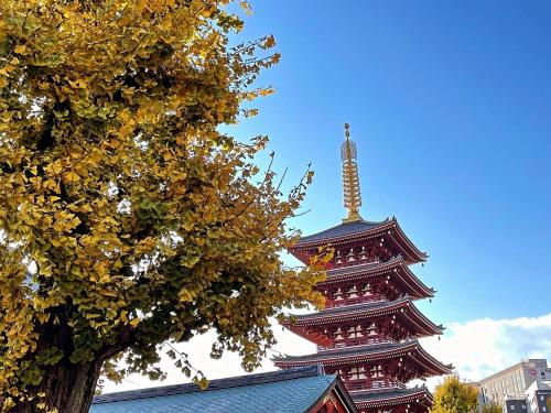 a pagoda with a tree in front of it at NO SERVICE HOTEL azumabashi in Tokyo