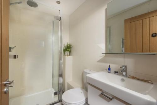 a bathroom with a toilet and a sink and a shower at 5 Sandy Lane Apartments, Carbis Bay in Carbis Bay