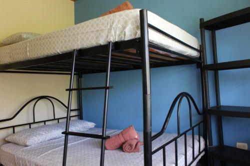 a bedroom with two bunk beds in a room at Quinta Alfa in Grecia
