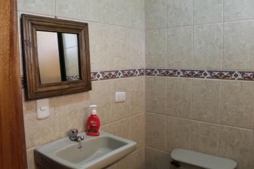 a bathroom with a sink and a mirror and a toilet at Quinta Alfa in Grecia