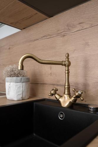 a kitchen sink with a brass faucet on a counter at Mountain Houses Volta in Lič