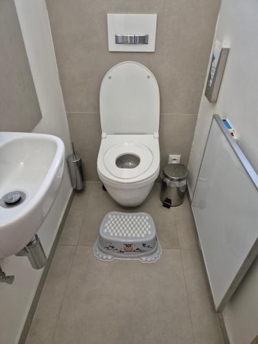 a small bathroom with a toilet and a sink at Apartmán Vital na Pálavě - ubytování & životní restart in Pasohlávky