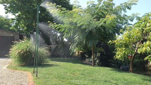 a garden with a hose spraying the grass at T.H.NY Village Inn Cottage in Tihany