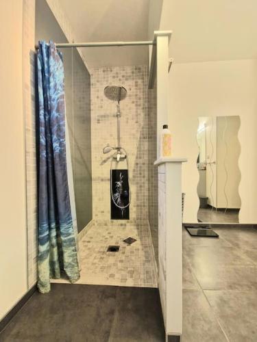 La salle de bains est pourvue d'une douche avec un chien. dans l'établissement Maison nature, à Le Val