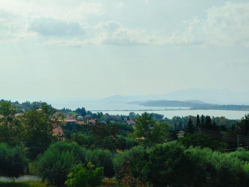 a view of the lake from the hillside at SIMOS' sea view house in Nikópolis