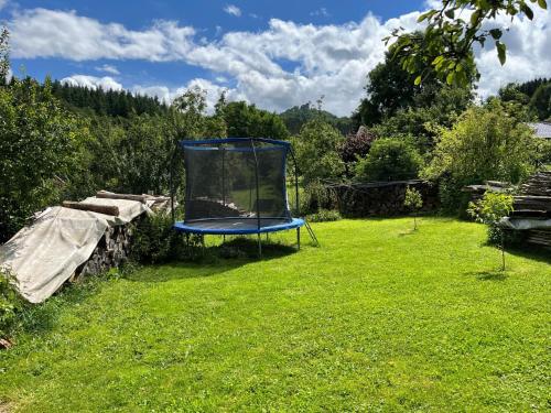 a blue trampoline in the grass in a yard at Apartment Nürburgblick by Interhome in Quiddelbach