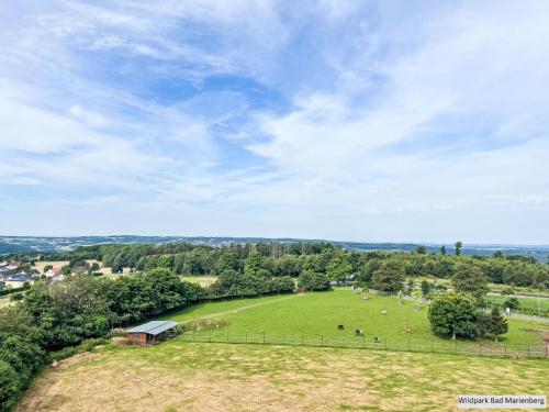 an overhead view of a field with animals in it at Holiday Home Ferienhaus Barbara by Interhome in Enspel