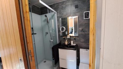 a bathroom with a shower and a sink and a mirror at Studio-centre ville in Châteaubriant