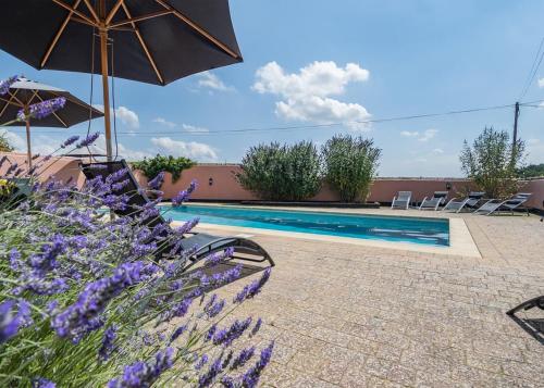 a swimming pool with an umbrella and some purple flowers at Apple Mount Retreat in Lavenham