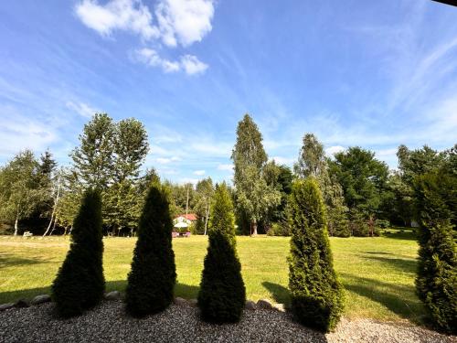 Taman di luar Hubertówka Czapiewice