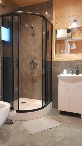 a bathroom with a shower with a toilet and a sink at Osada Jantar - Holiday in Jantar