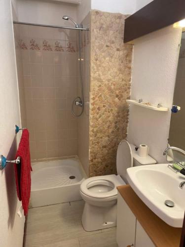 une salle de bain avec une douche, des toilettes et un lavabo dans l'établissement Studio Residence Tourmalet-La Mongie, à Bagnères-de-Bigorre