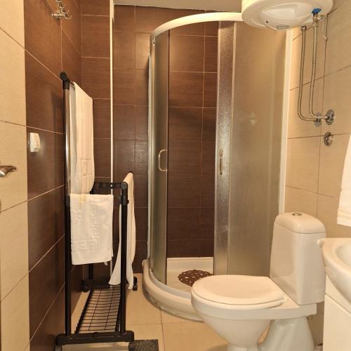 a small bathroom with a toilet and a shower at Kraljevski kutak Kraljevi čardaci in Kopaonik