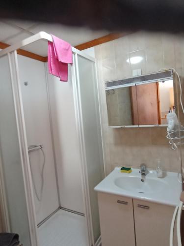 une salle de bain avec une douche, un lavabo et un miroir dans l'établissement STUDIO 5 personnes N7 LUZ SAINT SAUVEUR draps et serviettes fournis, à Luz-Saint-Sauveur