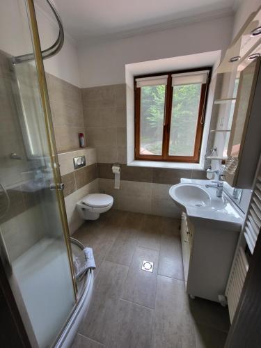 a bathroom with a toilet and a sink and a shower at Senyői Vendégház in Bózsva