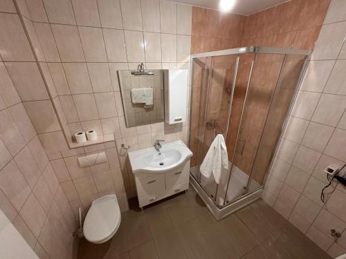 une salle de bain avec toilettes, douche et lavabo dans l'établissement Apartment near airport II, à Sarajevo