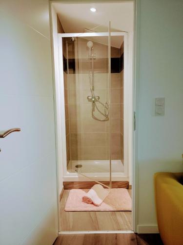 une salle de bain avec une douche avec une porte vitrée dans l'établissement Cocon centre historique, à Bergerac